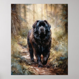 Newfoundland Dog Art Print Poster
