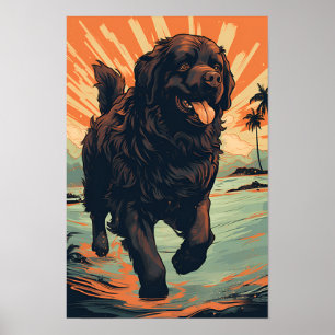 Newfoundland-dog at the beach poster