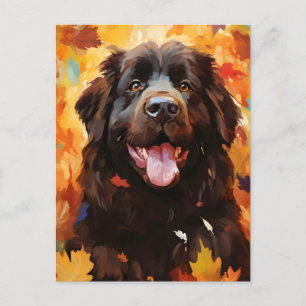 Newfoundland dog Autumn Thanksgiving  Postcard