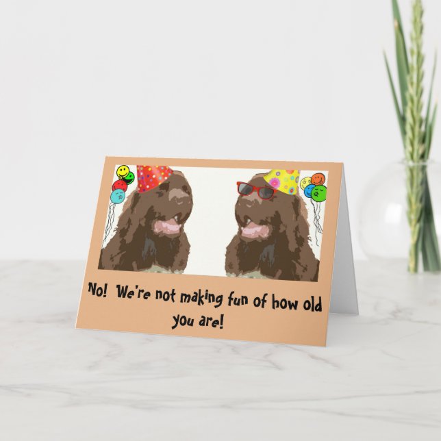 Newfoundland Dog Birthday humour Card (Front)