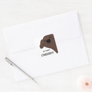 Newfoundland Dog Brown Is That Cheese Square Sticker