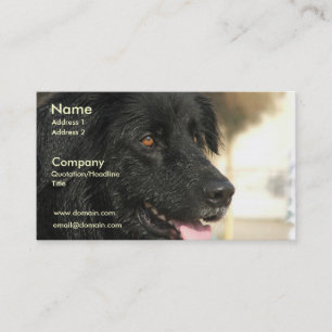 Newfoundland Dog Business Card