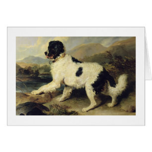 Newfoundland Dog Called Lion, 1824 (oil on canvas)