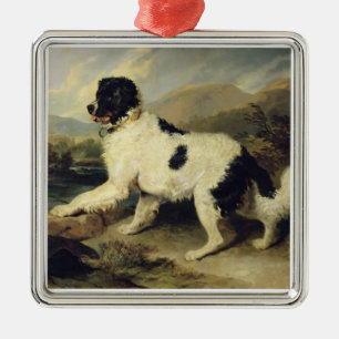 Newfoundland Dog Called Lion, 1824 (oil on canvas) Metal Tree Decoration