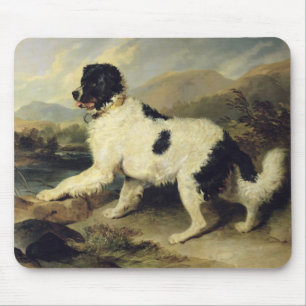 Newfoundland Dog Called Lion, 1824 (oil on canvas) Mouse Mat