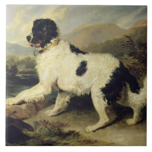 Newfoundland Dog Called Lion, 1824 (oil on canvas) Tile