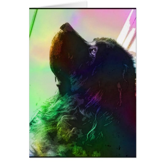 Newfoundland dog Card