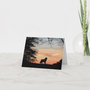 Newfoundland Dog Card