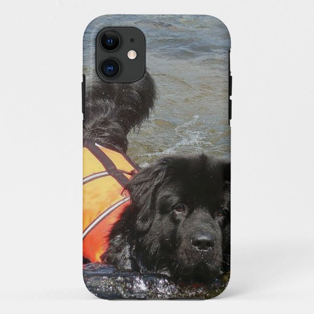 Newfoundland Dog Case-Mate iPhone Case (Back)