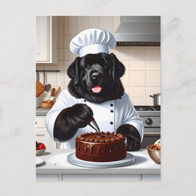 Newfoundland Dog Chef Icing Cake Postcard (Front)