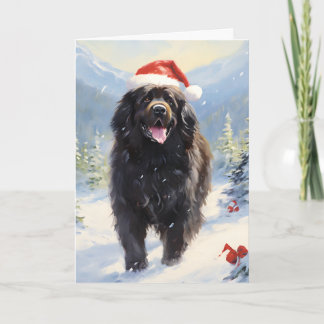 Newfoundland dog Christmas Card
