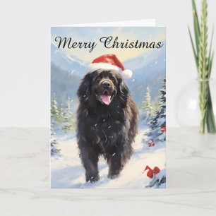 Newfoundland dog Christmas Card