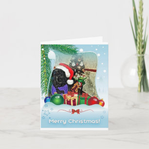 Newfoundland dog Christmas Card