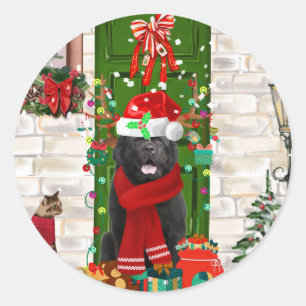 Newfoundland Dog Christmas  Classic Round Sticker