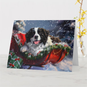 Newfoundland Dog Christmas Festive Card