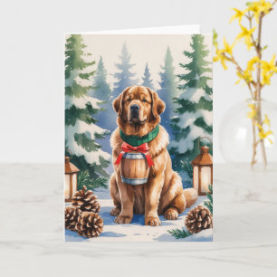 Newfoundland Dog Christmas Greeting Card