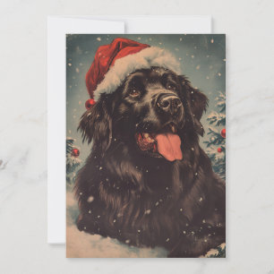 Newfoundland dog Christmas  Holiday Card