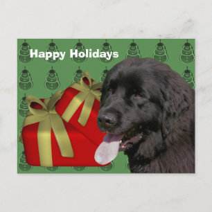 Newfoundland Dog Christmas Holiday Postcard