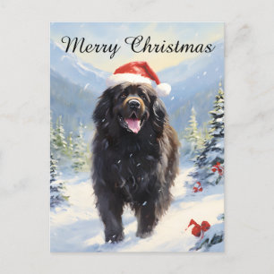 Newfoundland dog Christmas Holiday Postcard