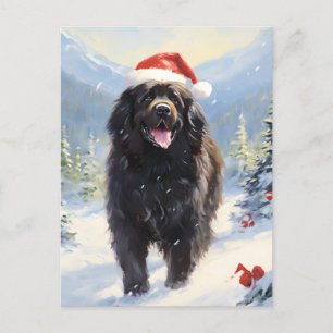 Newfoundland dog Christmas Holiday Postcard