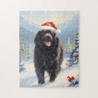 Newfoundland dog Christmas