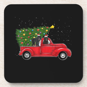 Newfoundland dog christmas on red car truck gift coaster