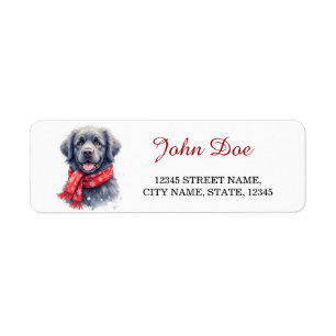 Newfoundland Dog Christmas Scarf Return Address