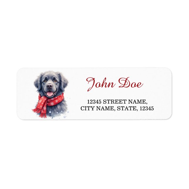 Newfoundland Dog Christmas Scarf Return Address (Front)