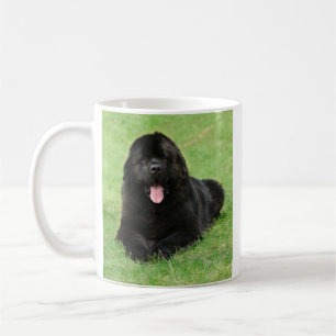 Newfoundland dog coffee mug