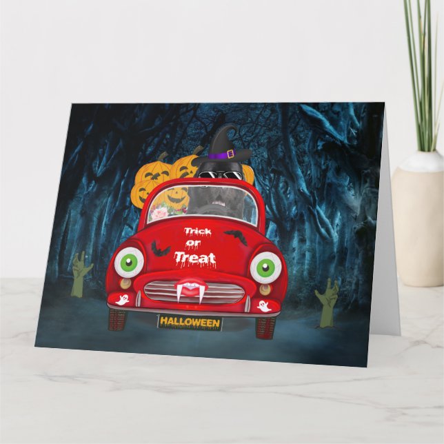 Newfoundland Dog Driving Car Scary Halloween Card (Front)