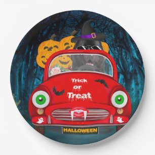 Newfoundland Dog Driving Car Scary Halloween Paper Plate