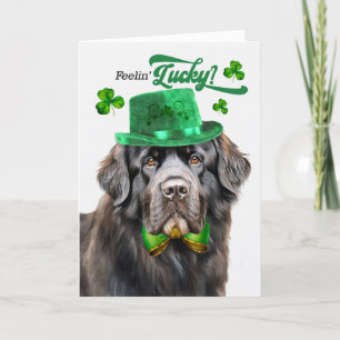 Newfoundland Dog Feelin' Lucky St Patrick's Day Holiday Card