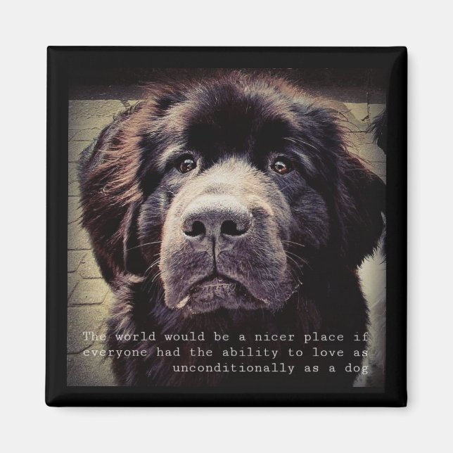 Newfoundland dog fridge magnet (Front)