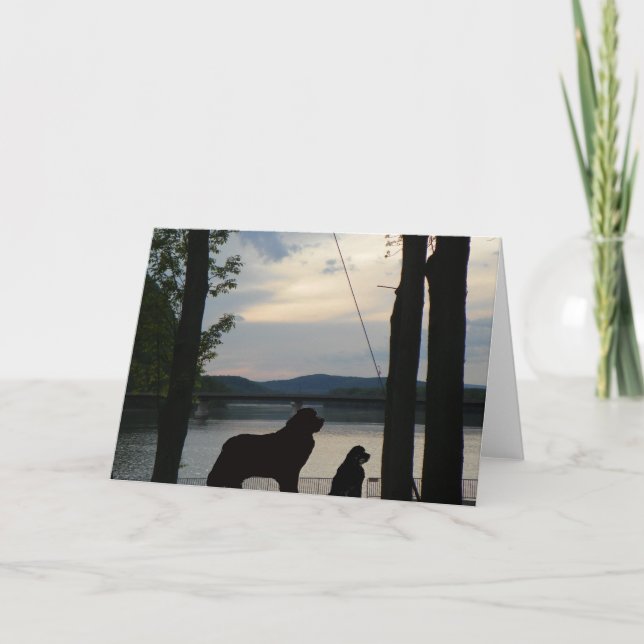 Newfoundland Dog greeting Card (Front)