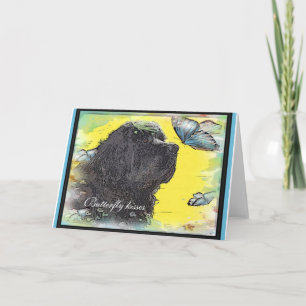 Newfoundland Dog Greeting Card