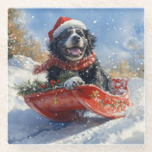 Newfoundland Dog in Sledge Let it Snow Christmas Glass Coaster