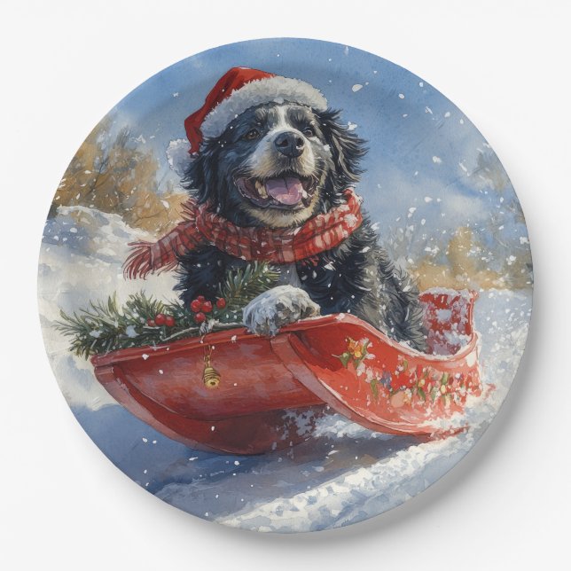 Newfoundland Dog in Sledge Let it Snow Christmas Paper Plate (Front)