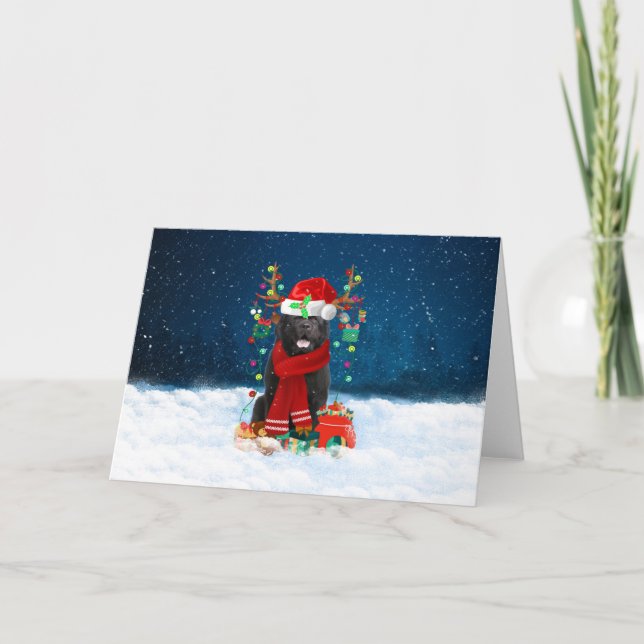 Newfoundland Dog in Snow with Christmas Gifts Card (Front)