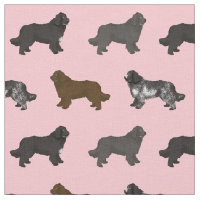 newfoundland dog landseer pink