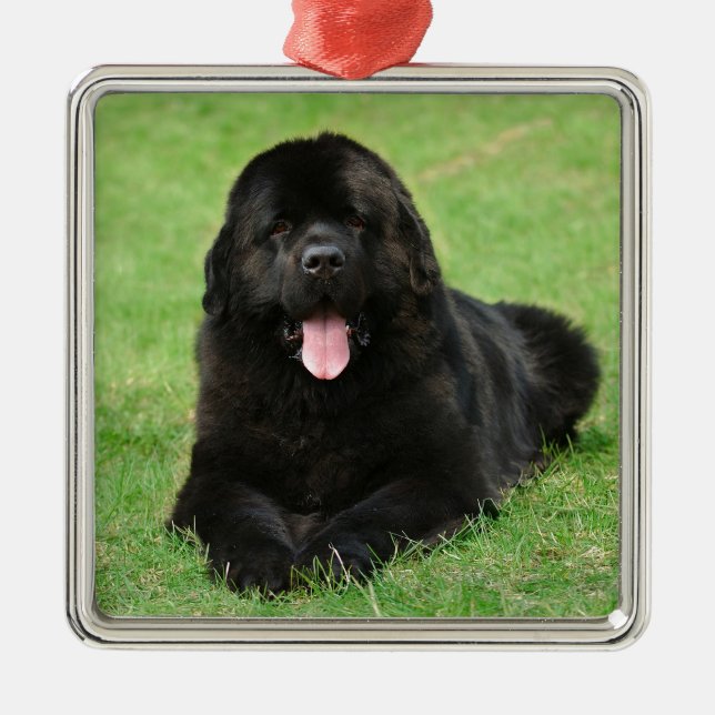 Newfoundland dog metal tree decoration (Front)