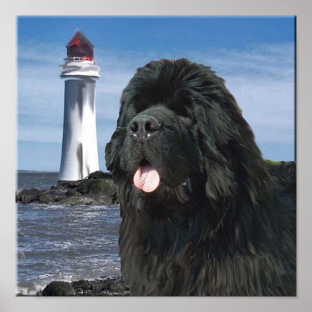 Newfoundland Dog Portrait Poster (Front)
