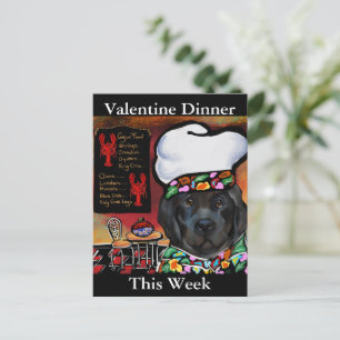 Newfoundland Dog                 Postcard