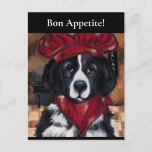 Newfoundland Dog Postcard