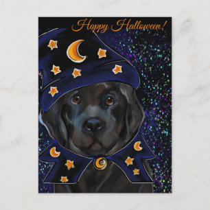 Newfoundland Dog Postcard