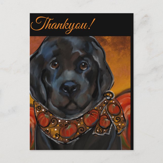 Newfoundland Dog   Postcard (Front)