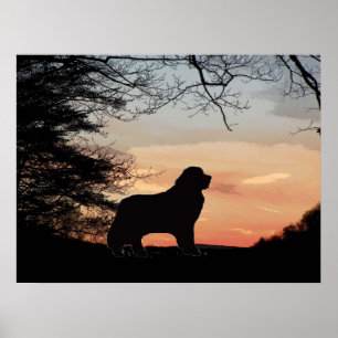 Newfoundland dog poster