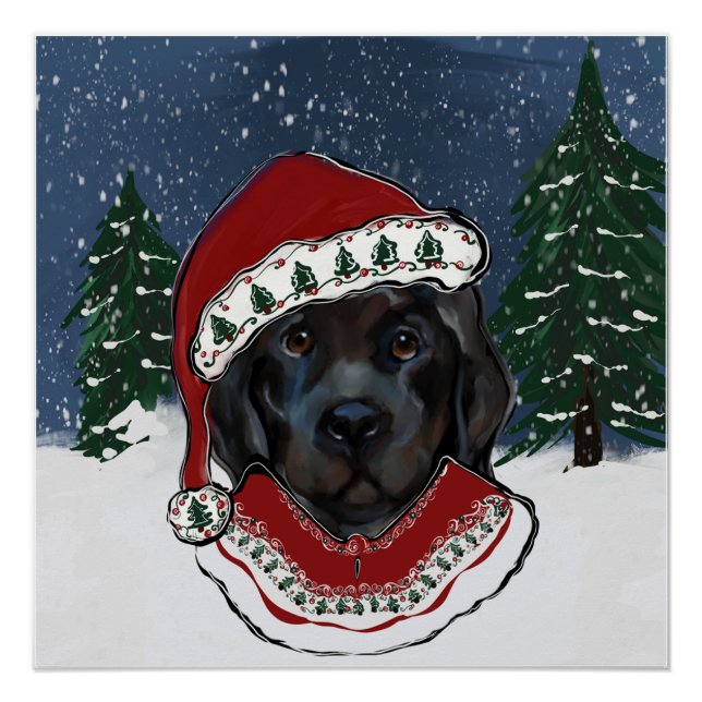 Newfoundland Dog   Poster (Front)