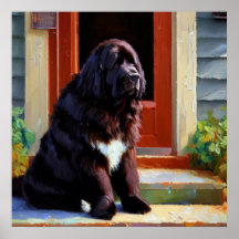 Newfoundland Dog