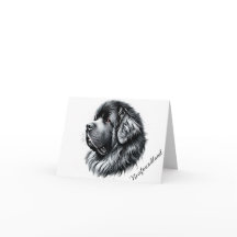 Newfoundland Dog Profile Folded Note Card