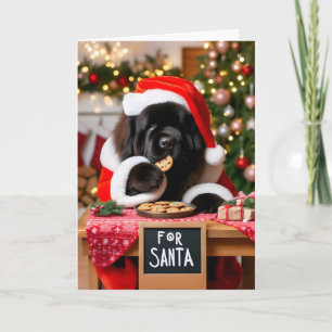 Newfoundland Dog Santa's Cookies Christmas Holiday Card